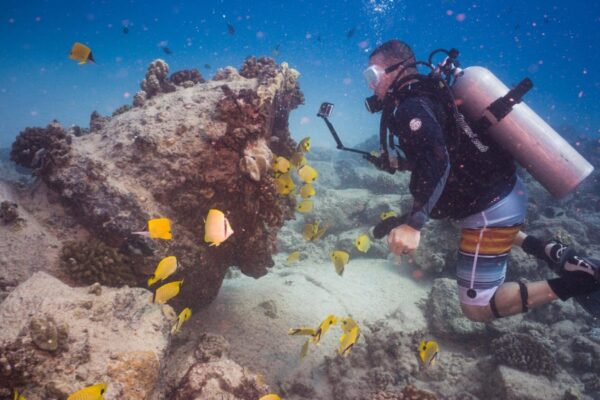 Oahu Scuba Diving | Honolulu Scuba Company