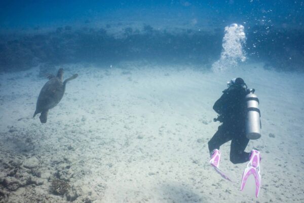 Oahu Scuba Diving | Honolulu Scuba Company