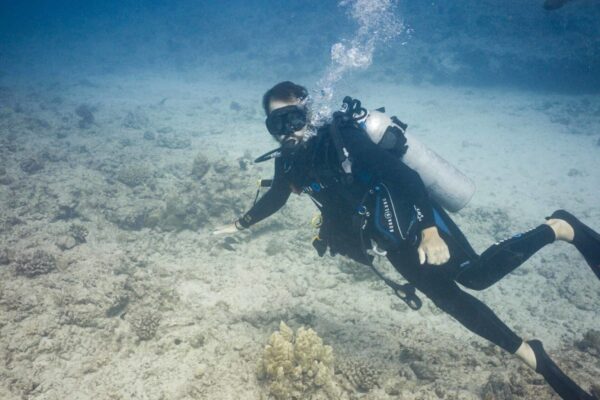 Oahu Scuba Diving | Honolulu Scuba Company