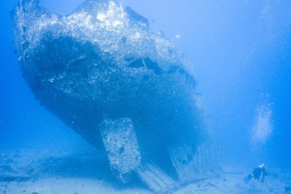Oahu Scuba Diving | Honolulu Scuba Company