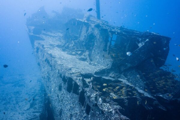 Oahu Scuba Diving | Honolulu Scuba Company