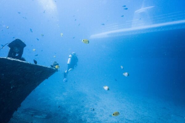 Oahu Scuba Diving | Honolulu Scuba Company