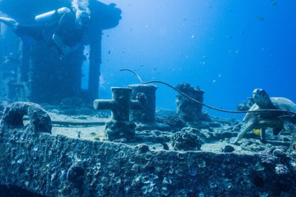 Oahu Scuba Diving | Honolulu Scuba Company