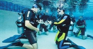 hawaii dive tours