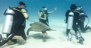 hawaii dive tours