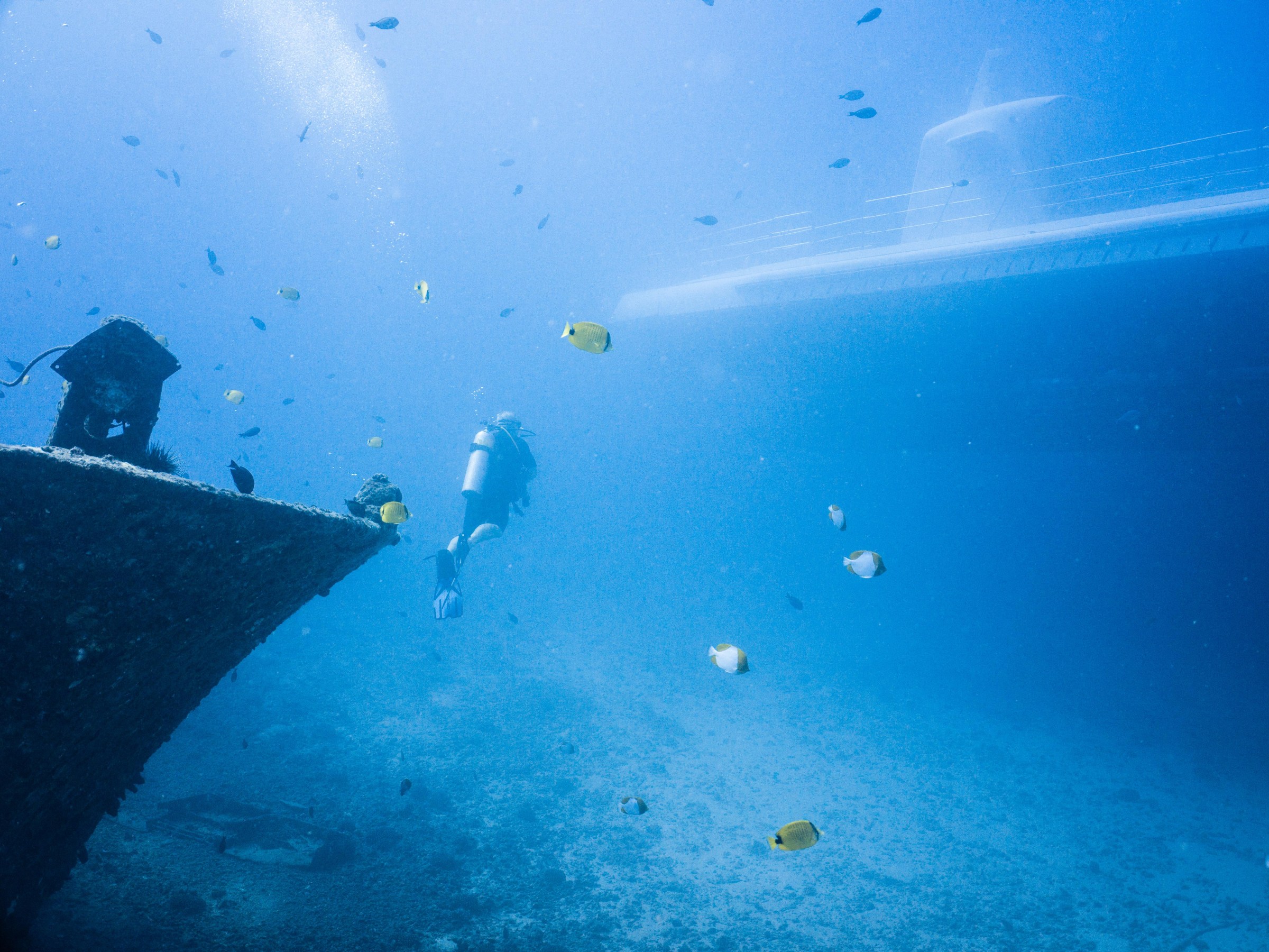 hawaii dive tours