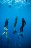 hawaii dive tours